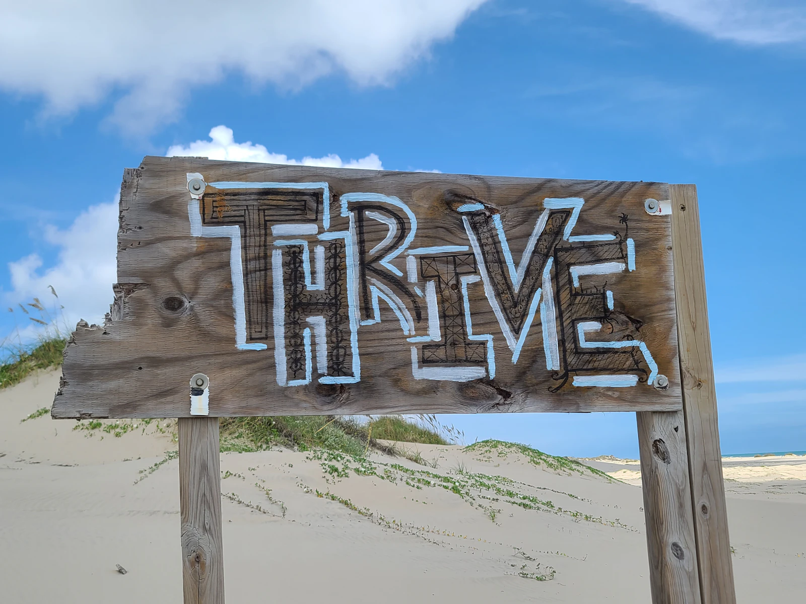 South Padre Island, Texas photo 15 by Pete Alexopoulos