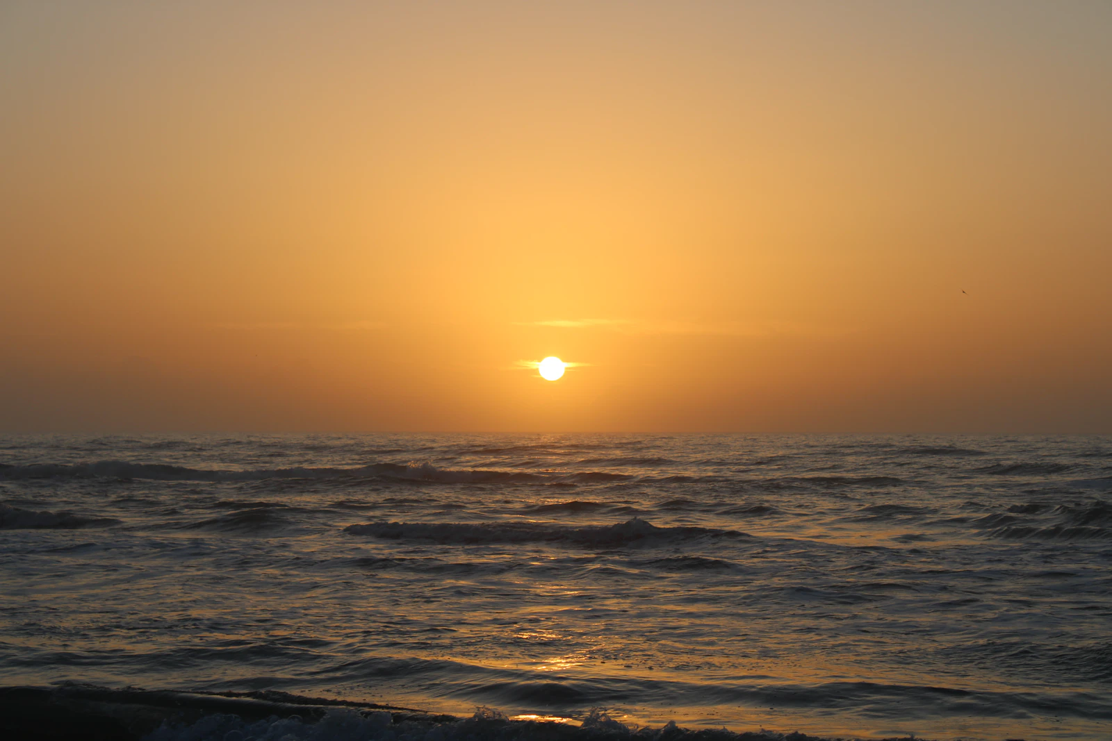 South Padre Island, Texas photo 8 by Callen Romell