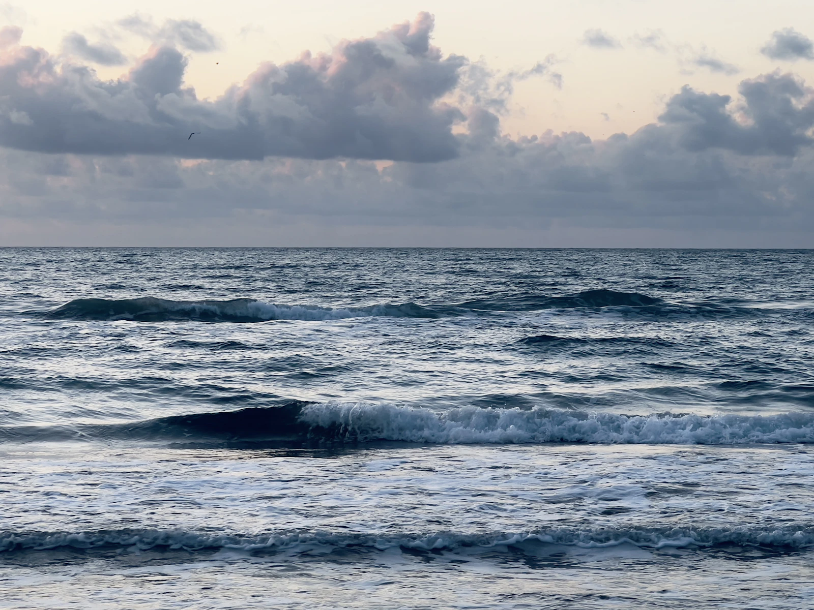 South Padre Island, Texas photo 19 by Joseph Cortez