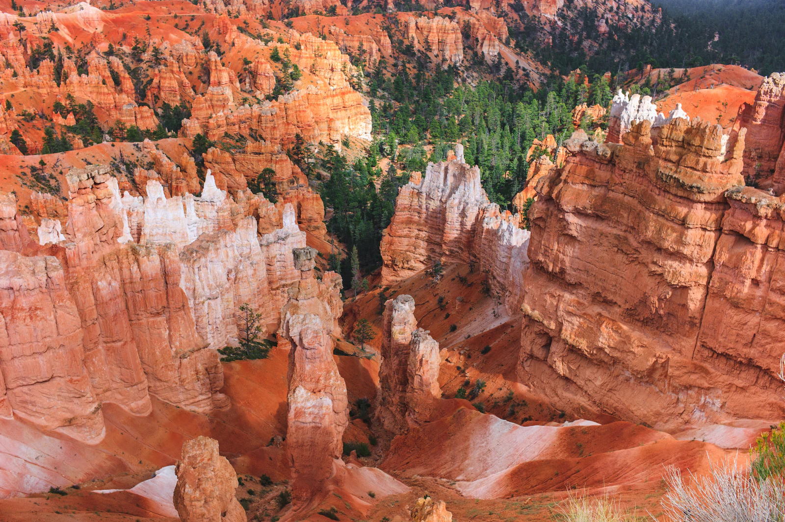 Bryce Canyon City, Utah photo 18 by Luca Bravo