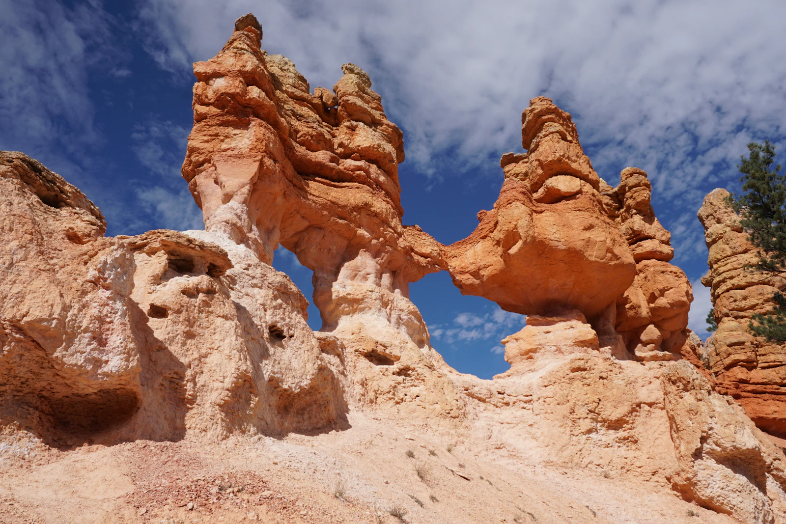 Bryce Canyon City, Utah photo 23 by Cameron Cress
