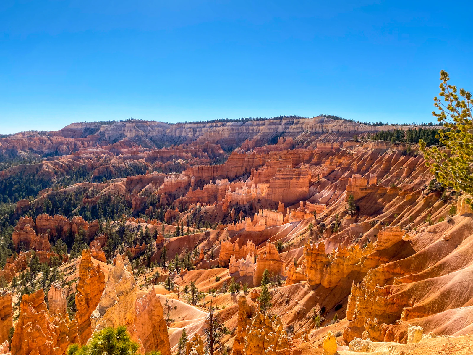 Bryce Canyon City, Utah photo 4 by Zachary Zondlo