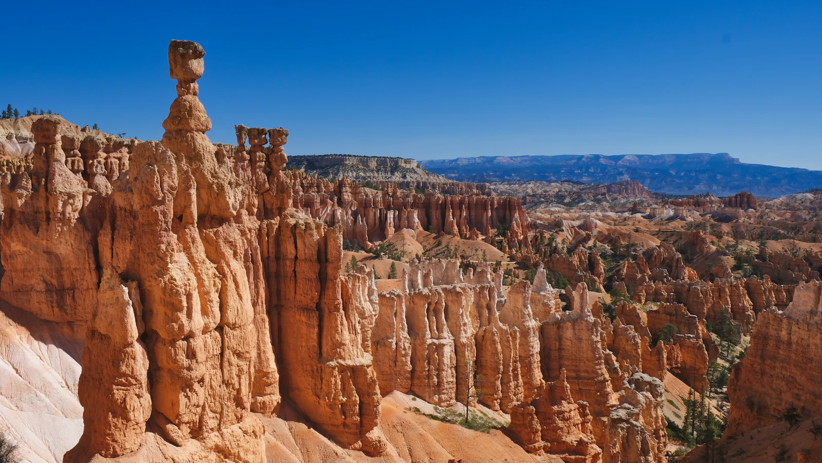 Bryce Canyon City, Utah photo 17 by Ryan Jones