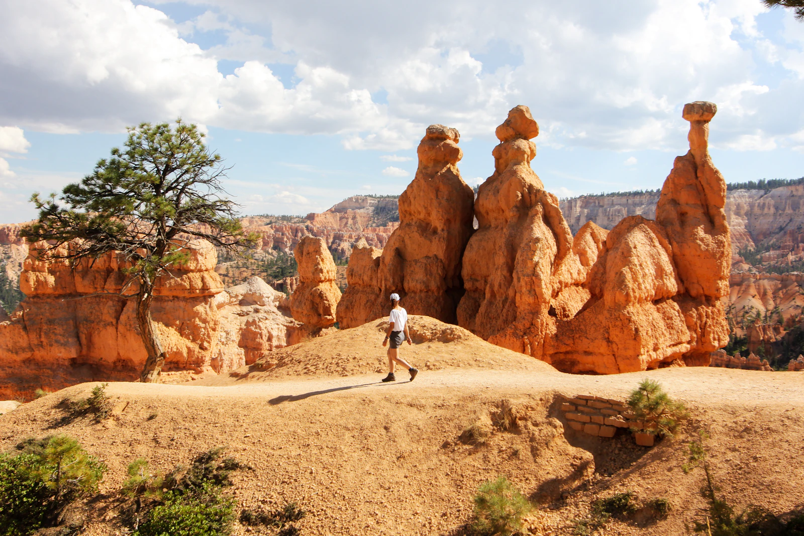 Bryce Canyon City, Utah photo 12 by Arnaud STECKLE