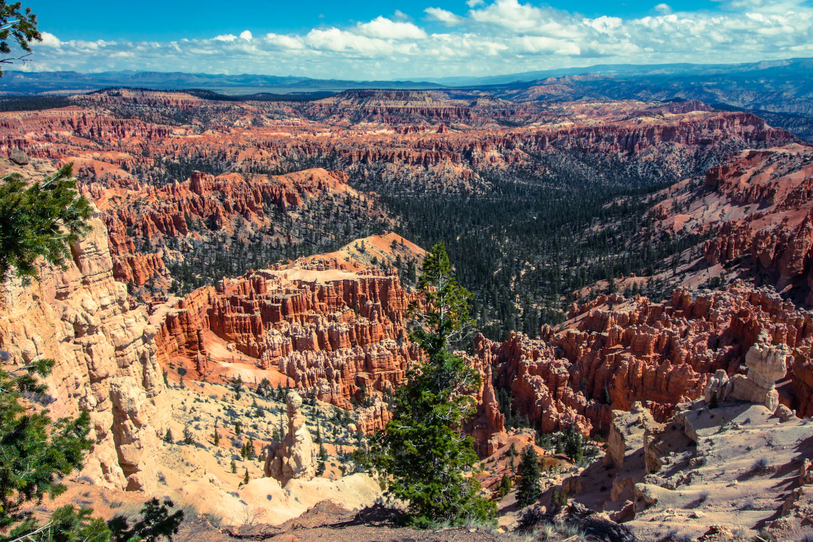 Bryce Canyon City, Utah photo 8 by Jota Lao
