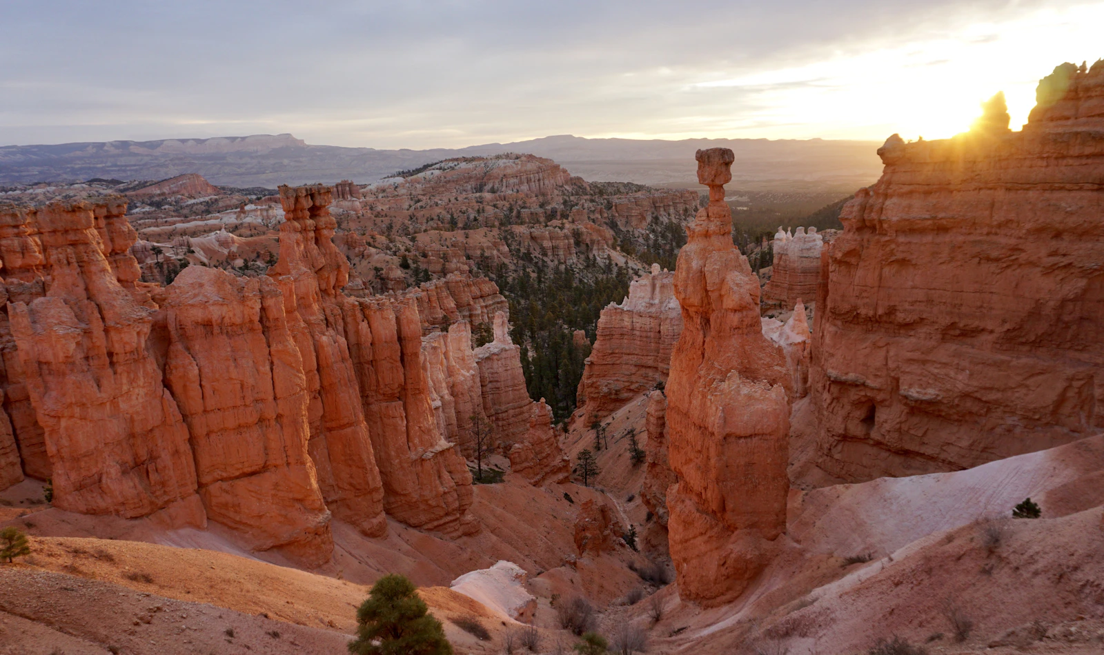 Bryce Canyon City, Utah photo 2 by Tim Golder