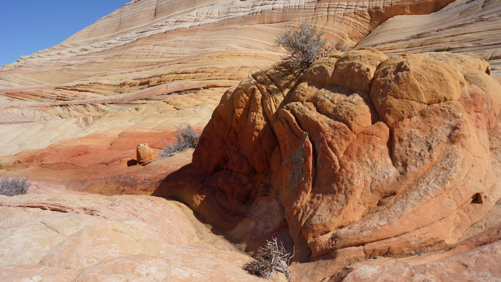 Kanab, Utah photo 5 by Dieter Becker