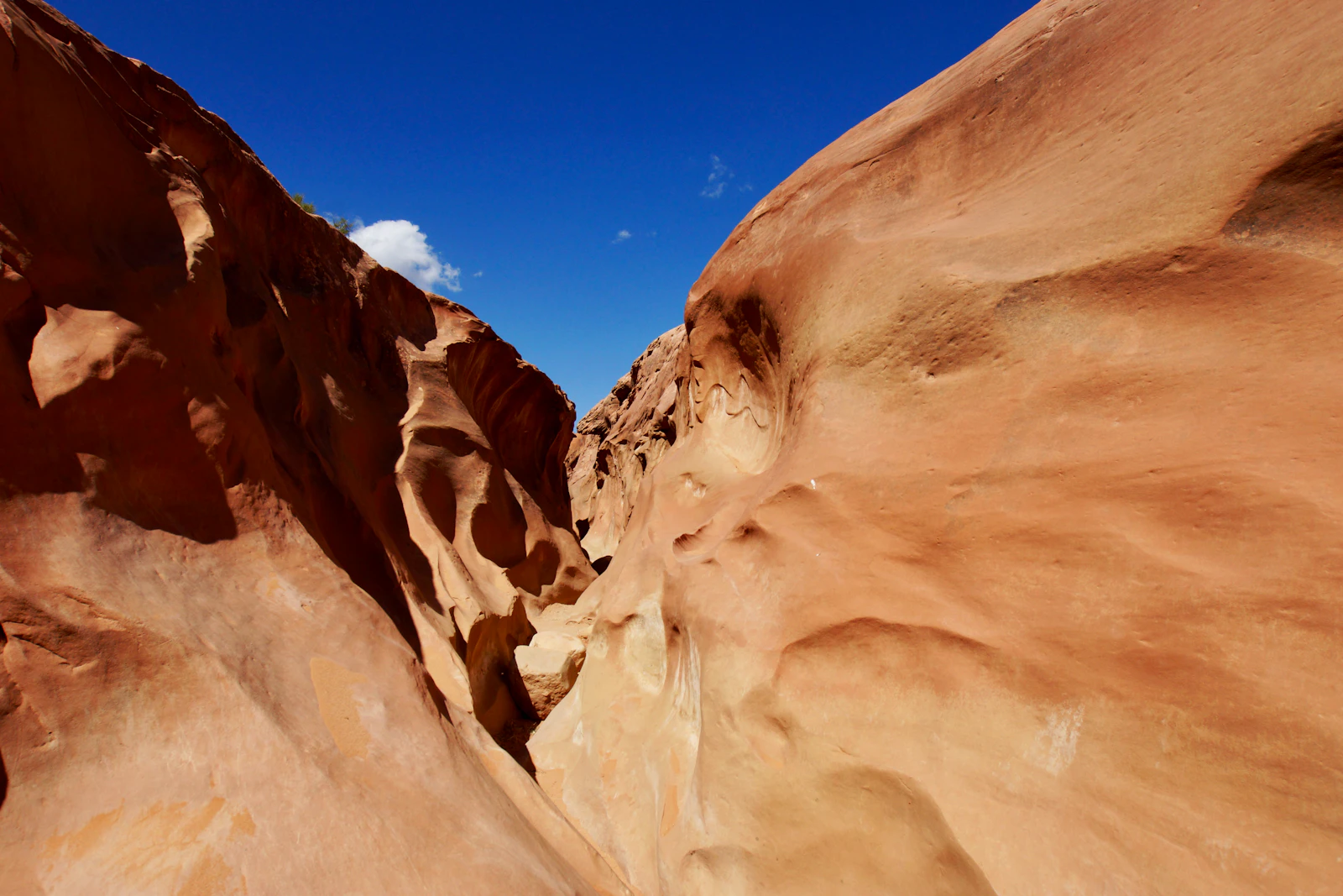 Kanab, Utah photo 13 by Kelsey Lane