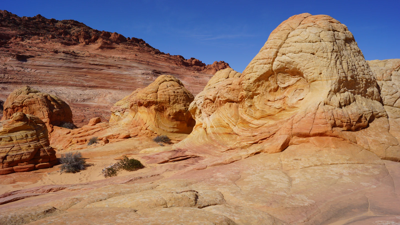 Kanab, Utah photo 1 by Dieter Becker