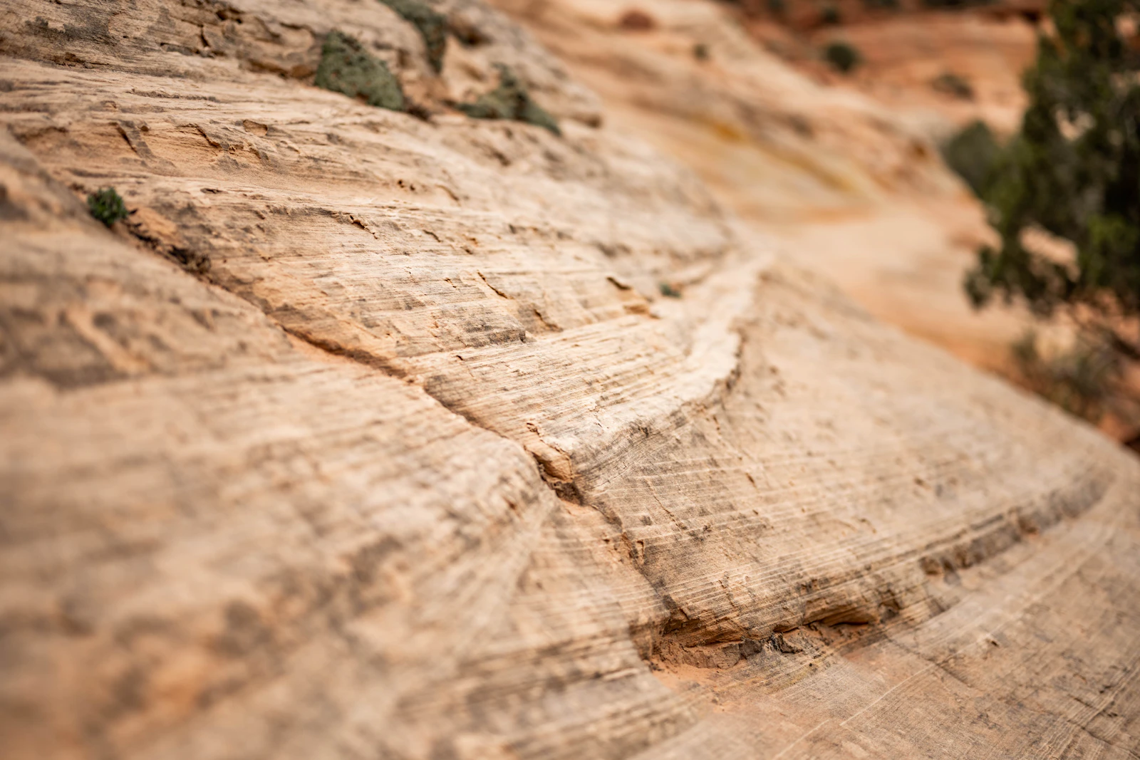 Kanab, Utah photo 18 by Samantha Fortney
