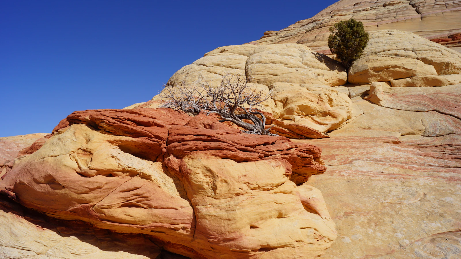 Kanab, Utah photo 2 by Dieter Becker