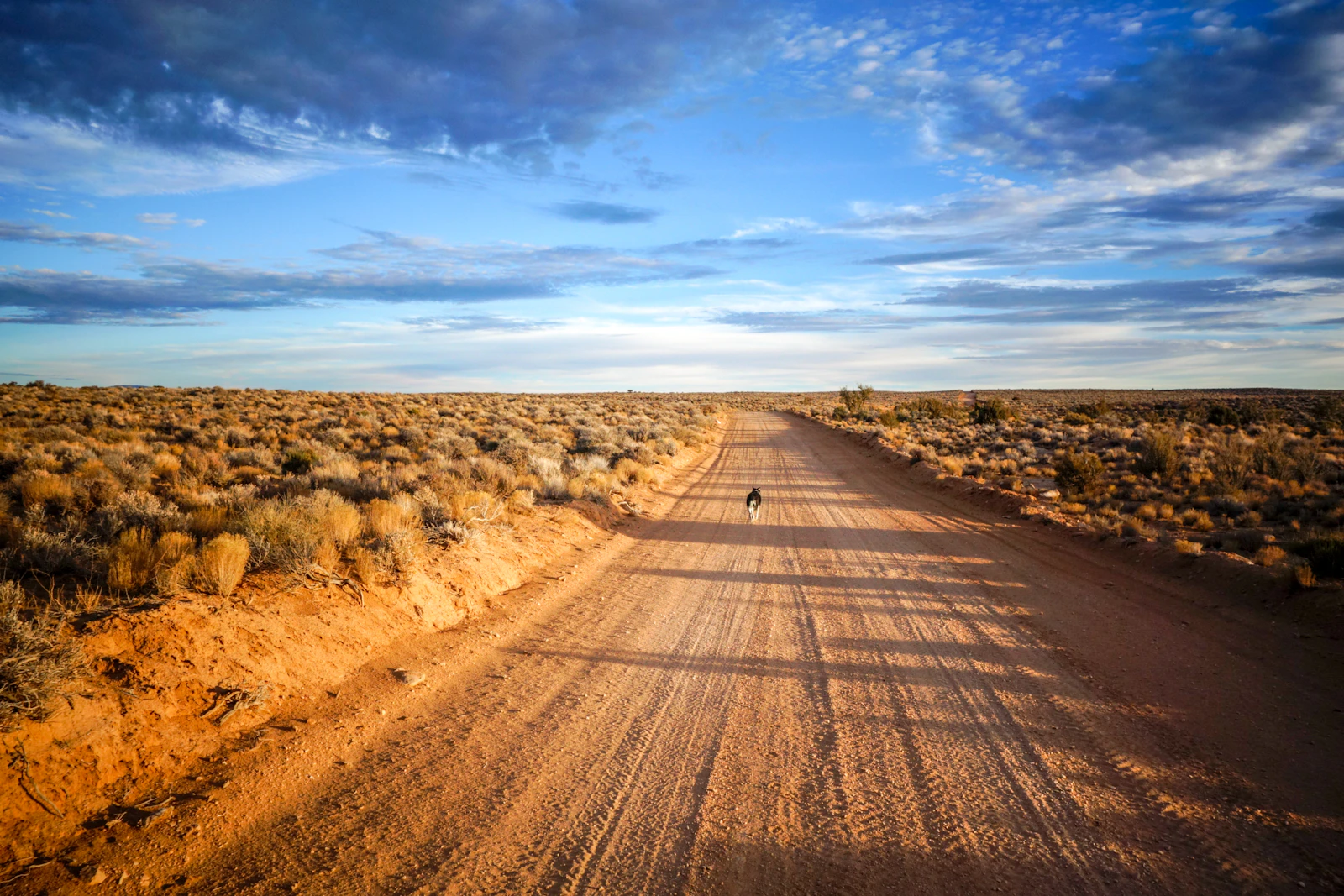 Kanab, Utah photo 20 by Patrick Hendry