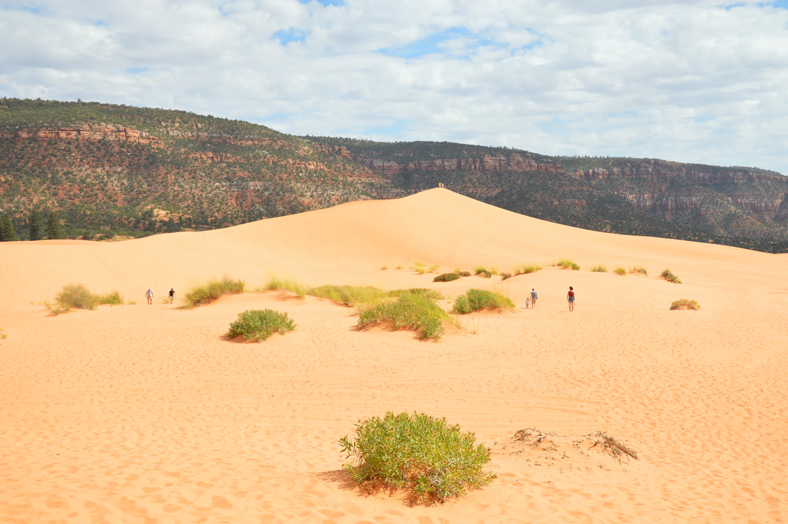 Kanab, Utah photo 19 by James Brown