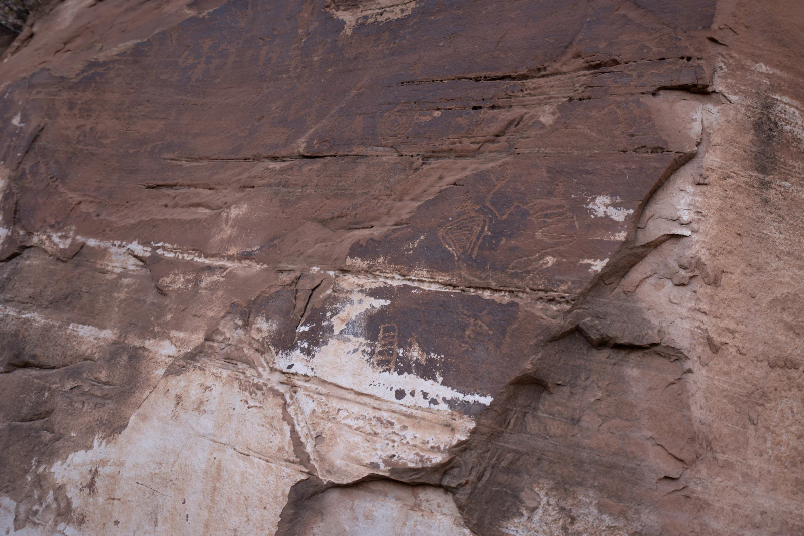 Moab, Utah photo 23 by Datingjungle