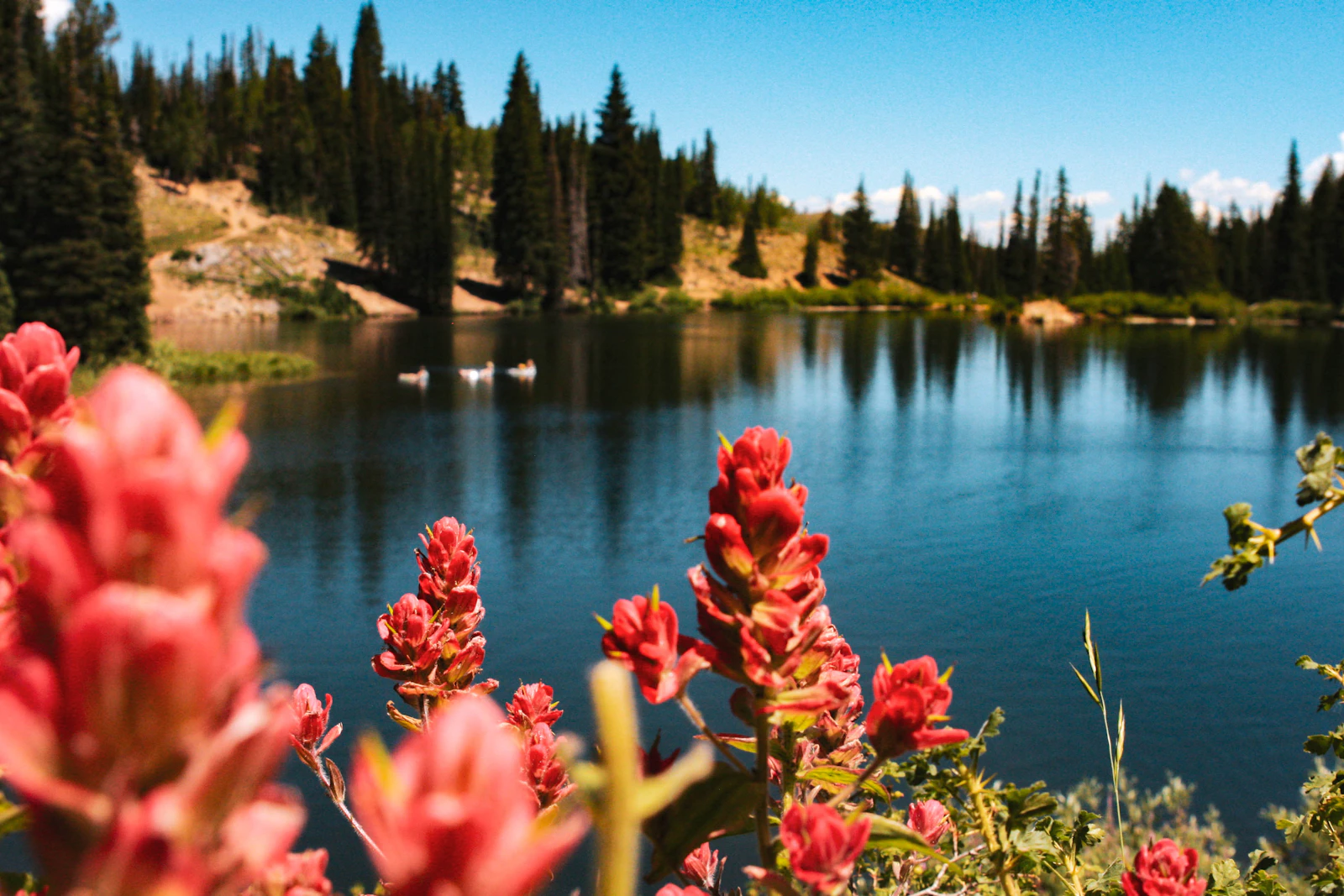 Park City, Utah photo 12 by Olivia Hutcherson