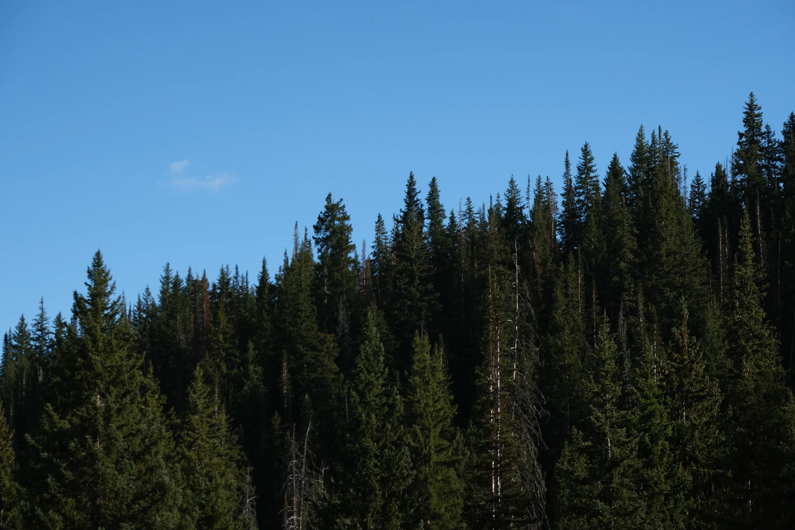 Park City, Utah photo 26 by Sarah Sheedy