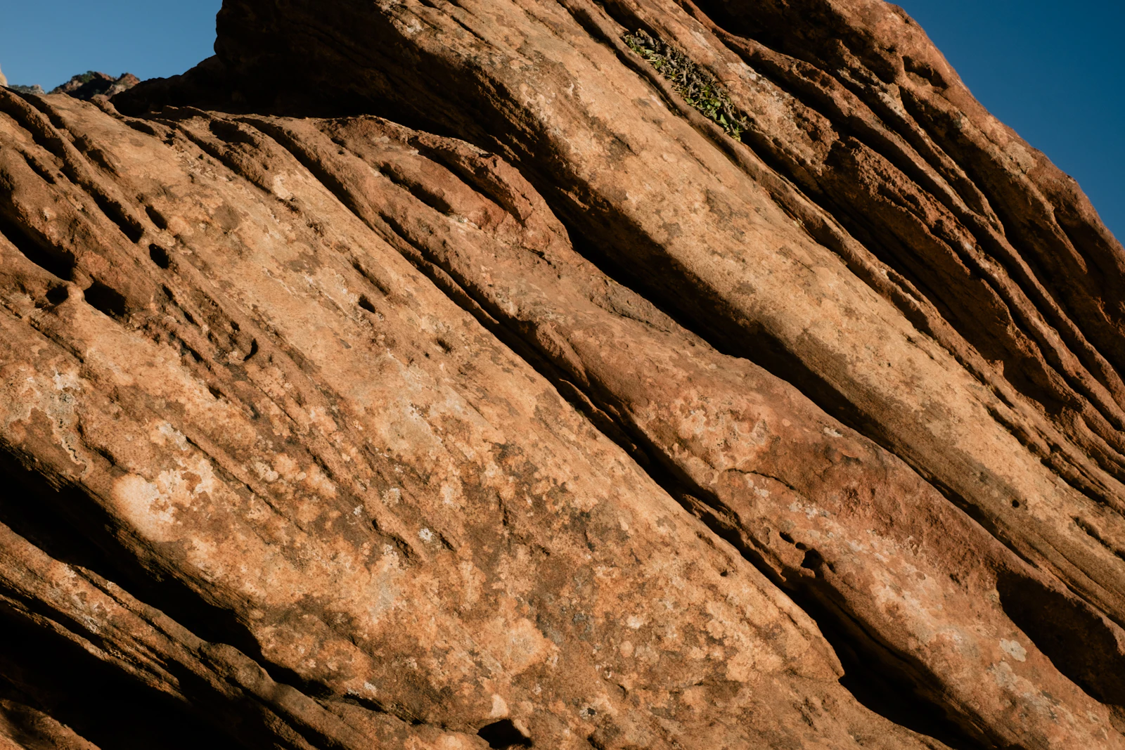 Springdale, Utah photo 12 by PJ Gal-Szabo