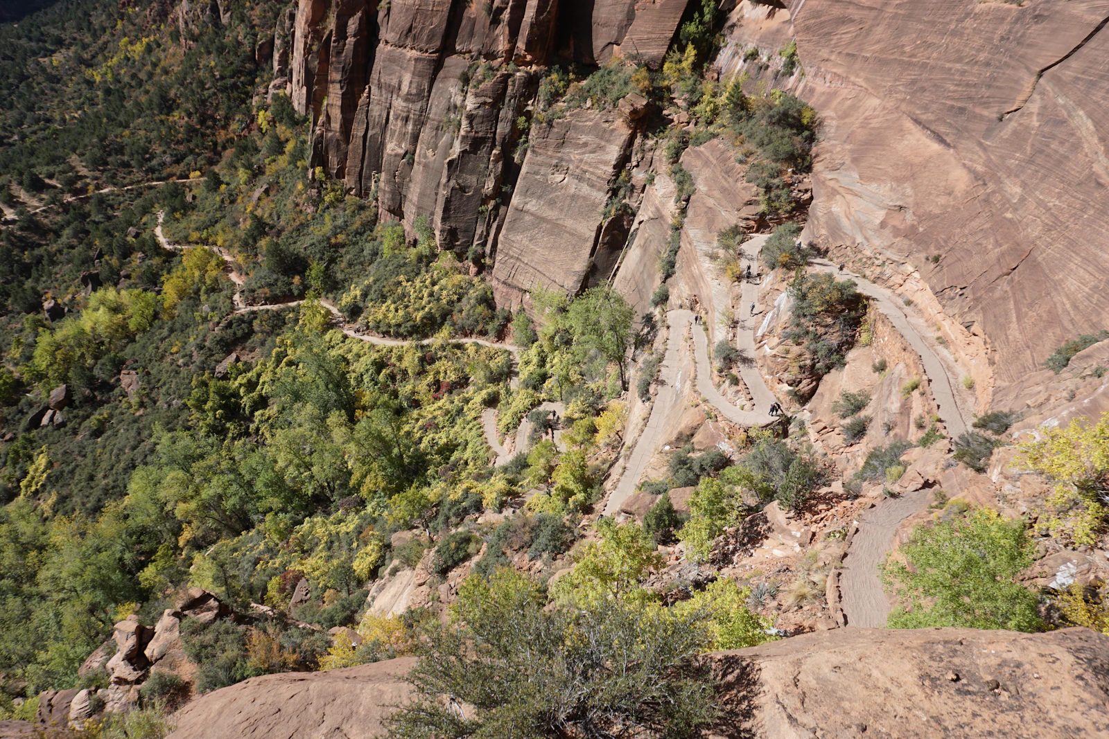 Springdale, Utah photo 27 by Jaida Stewart