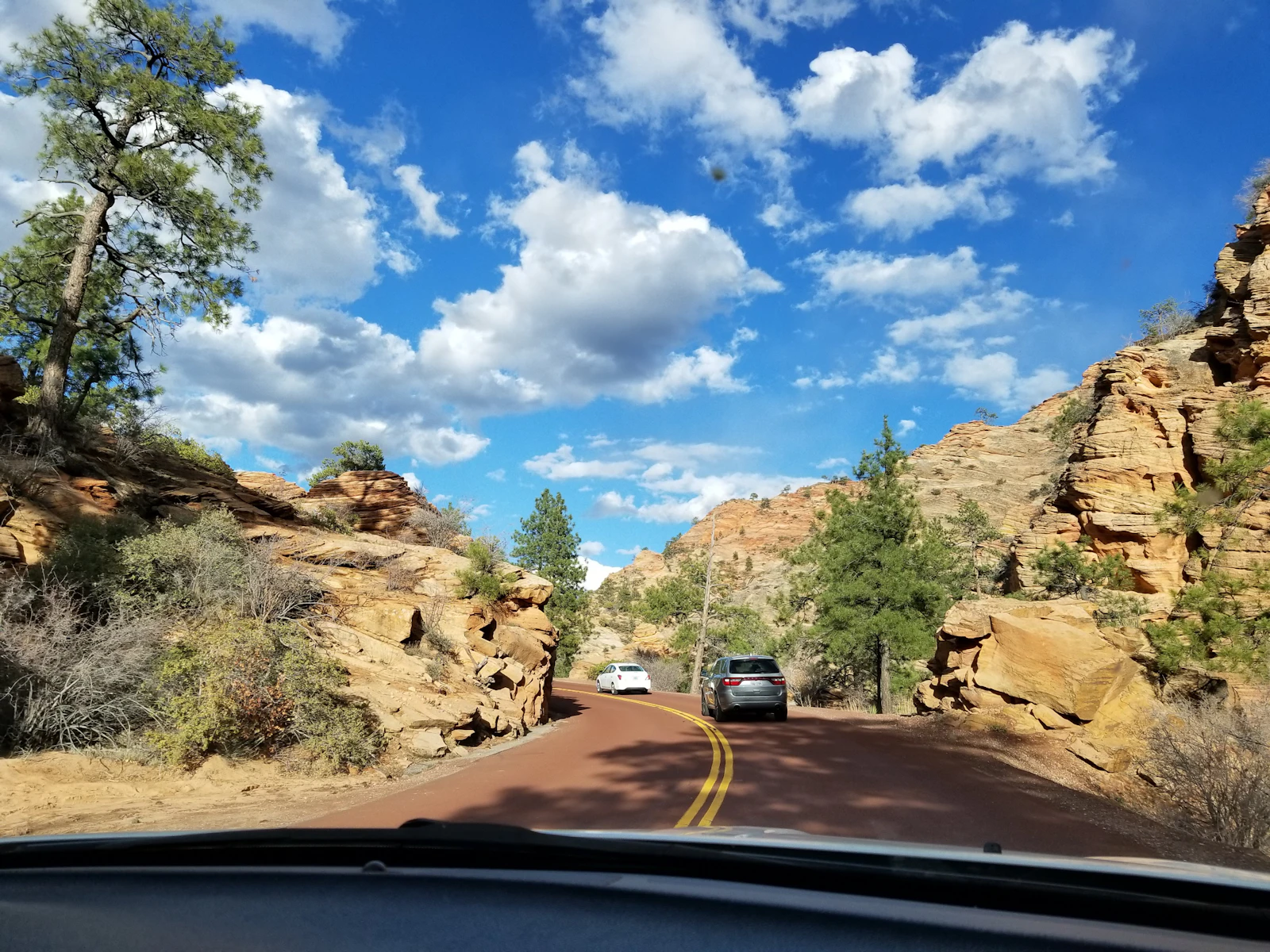 Springdale, Utah photo 21 by Lu Zee