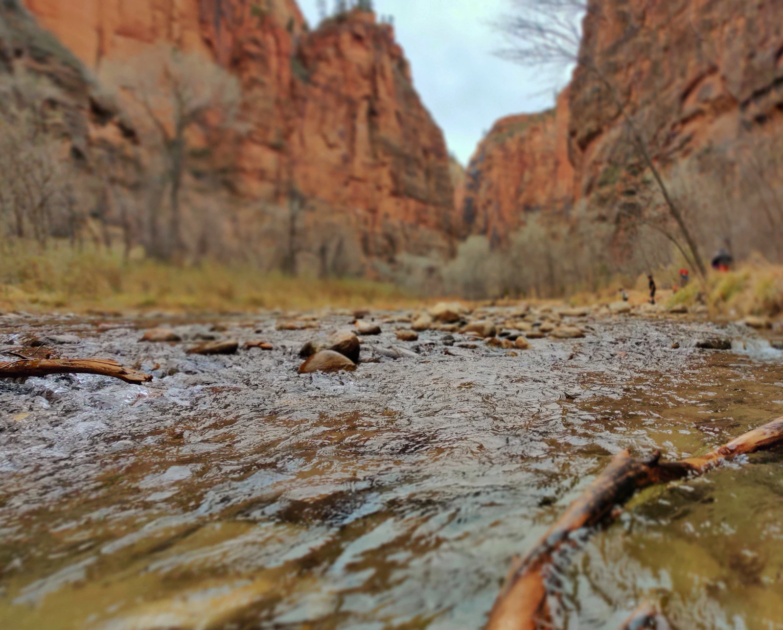 Springdale, Utah photo 9 by Prashob S