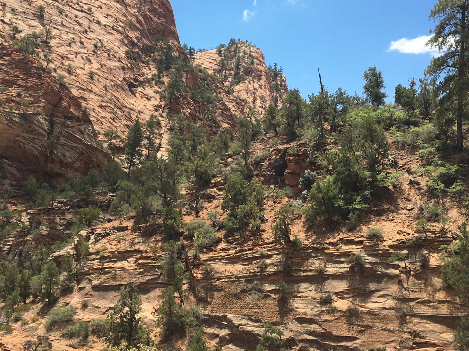 Springdale, Utah photo 11 by David Dachtyl