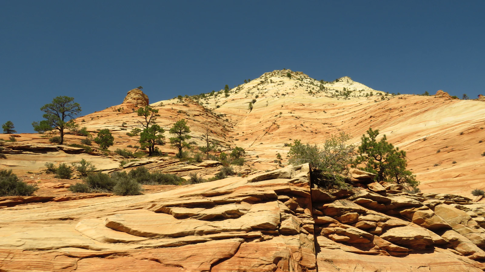 Springdale, Utah photo 28 by Anh Phan
