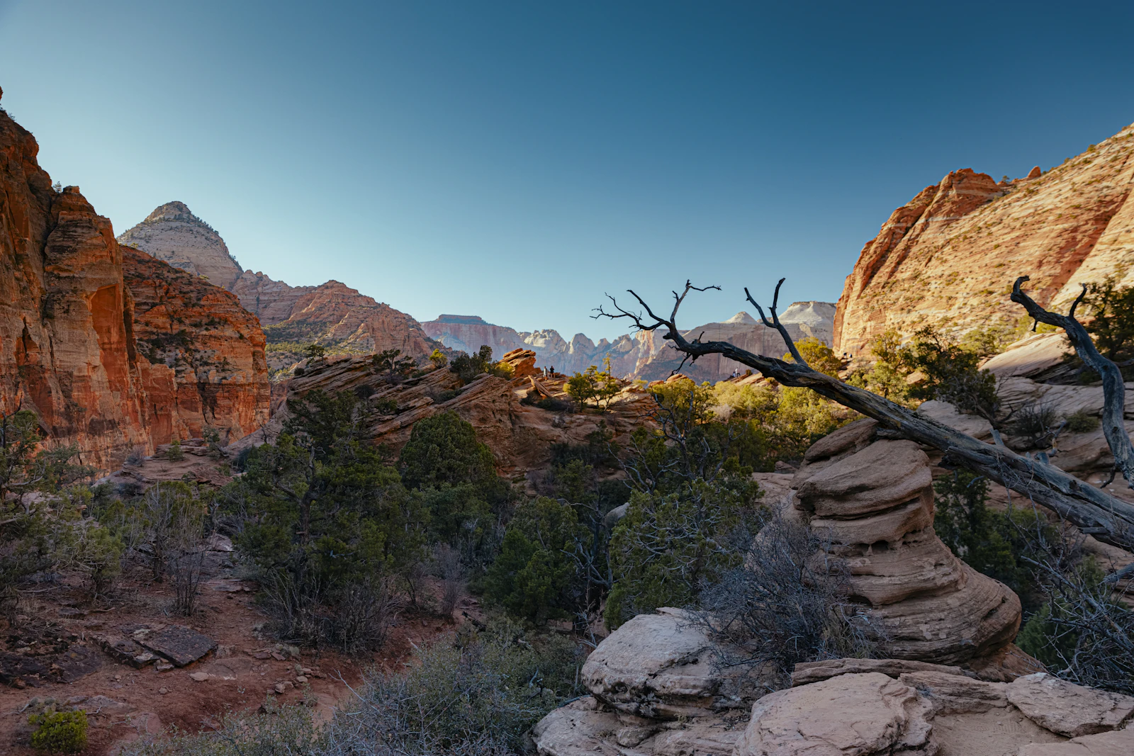 Springdale, Utah photo 2 by Isaac Garcia