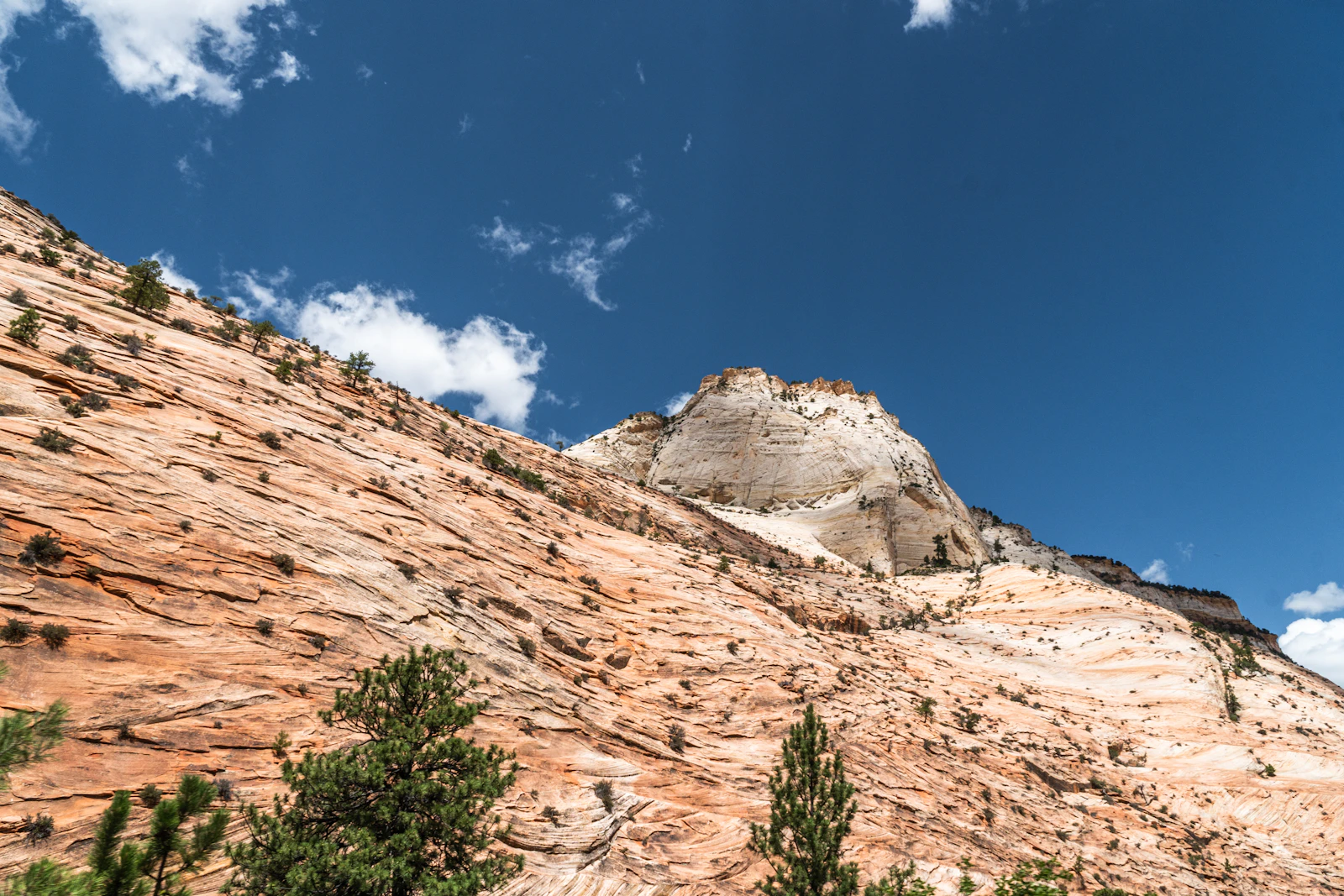Springdale, Utah photo 10 by Sean Musil
