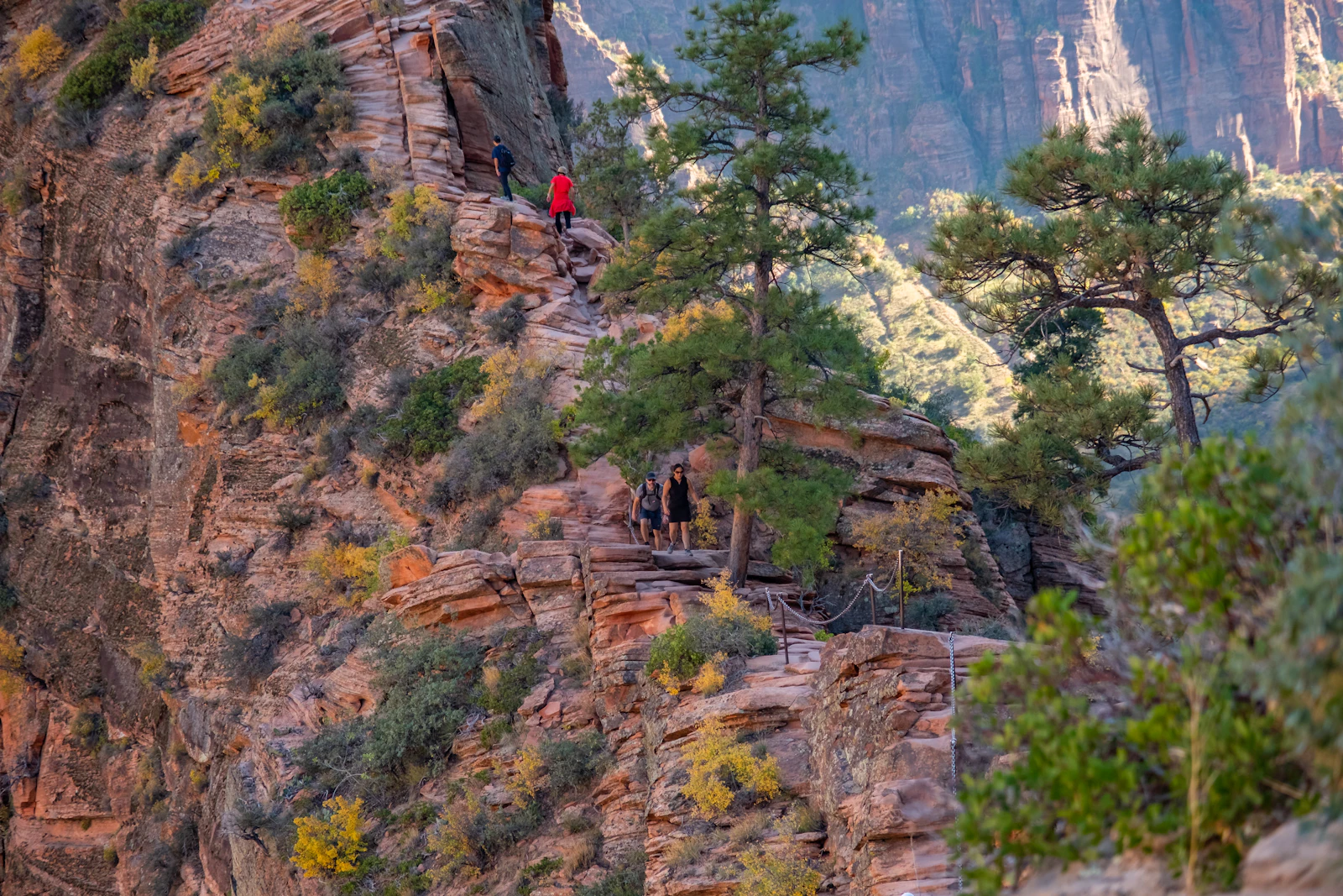 Springdale, Utah photo 23 by Gantavya Bhatt
