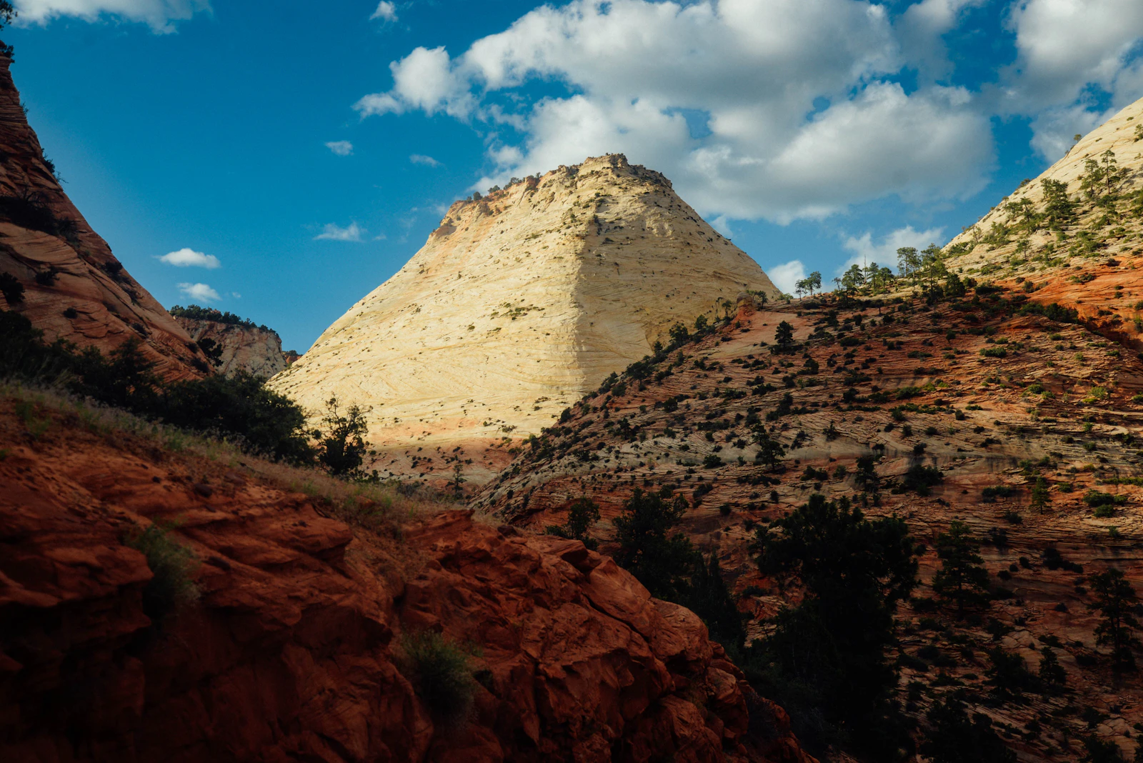 Springdale, Utah photo 1 by Loren Cutler