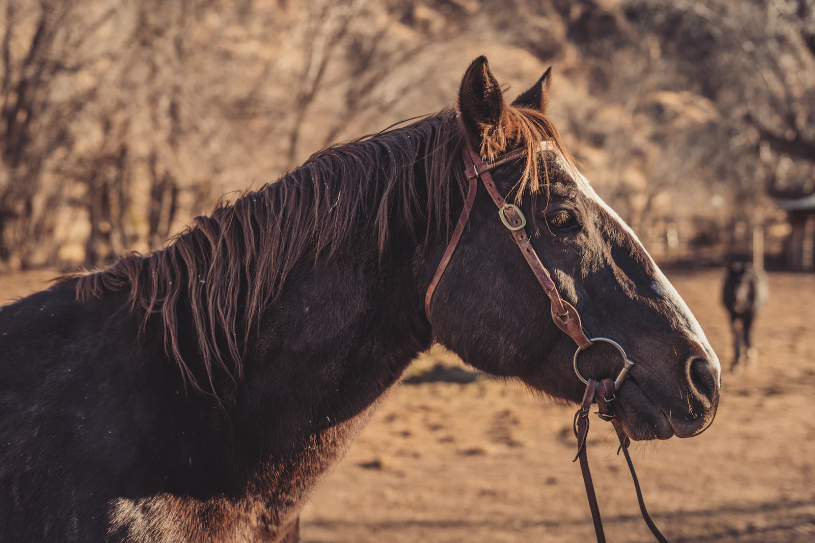 St. George, Utah photo 25 by Ashlynn Murphy