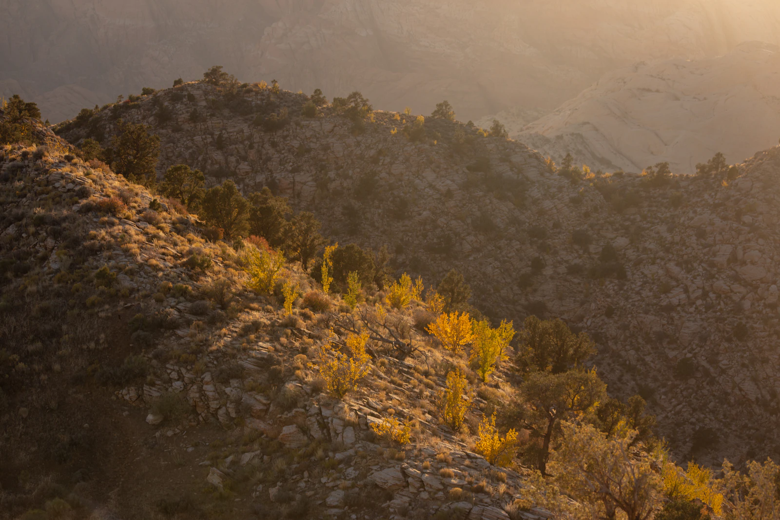 St. George, Utah photo 11 by Alex Moliski