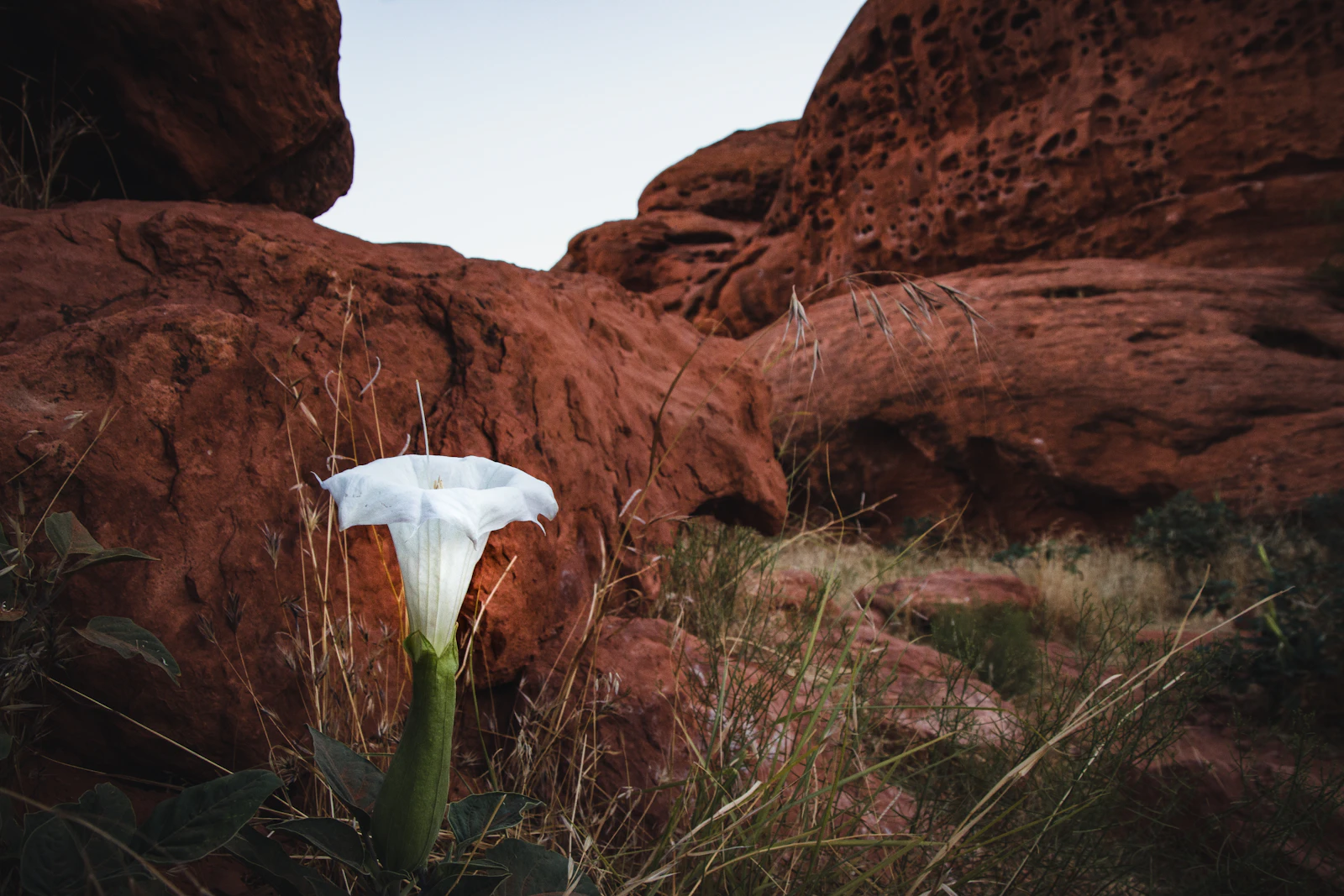 St. George, Utah photo 26 by Dan Cutler