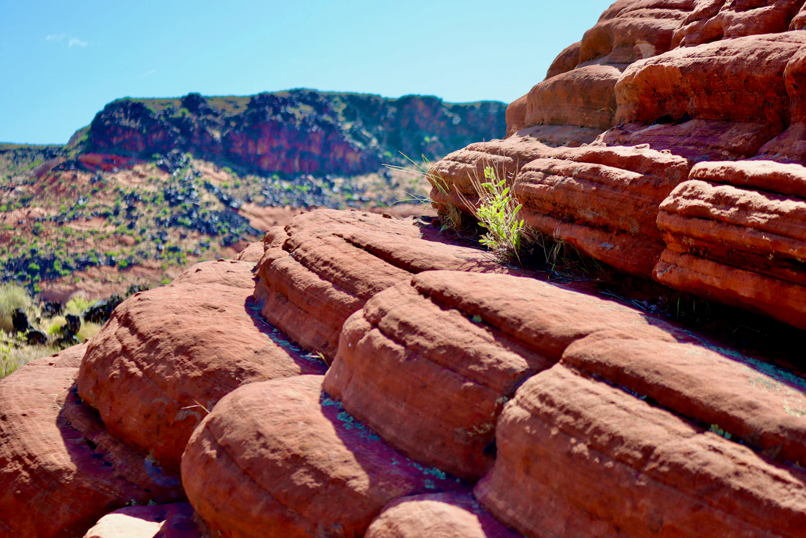 St. George, Utah photo 8 by Chris Kofoed