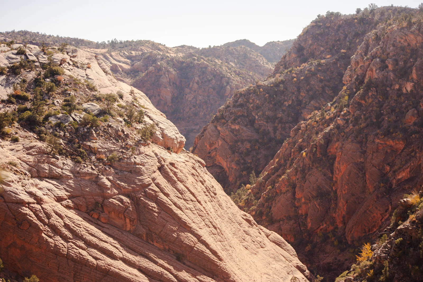 St. George, Utah photo 27 by Alex Moliski
