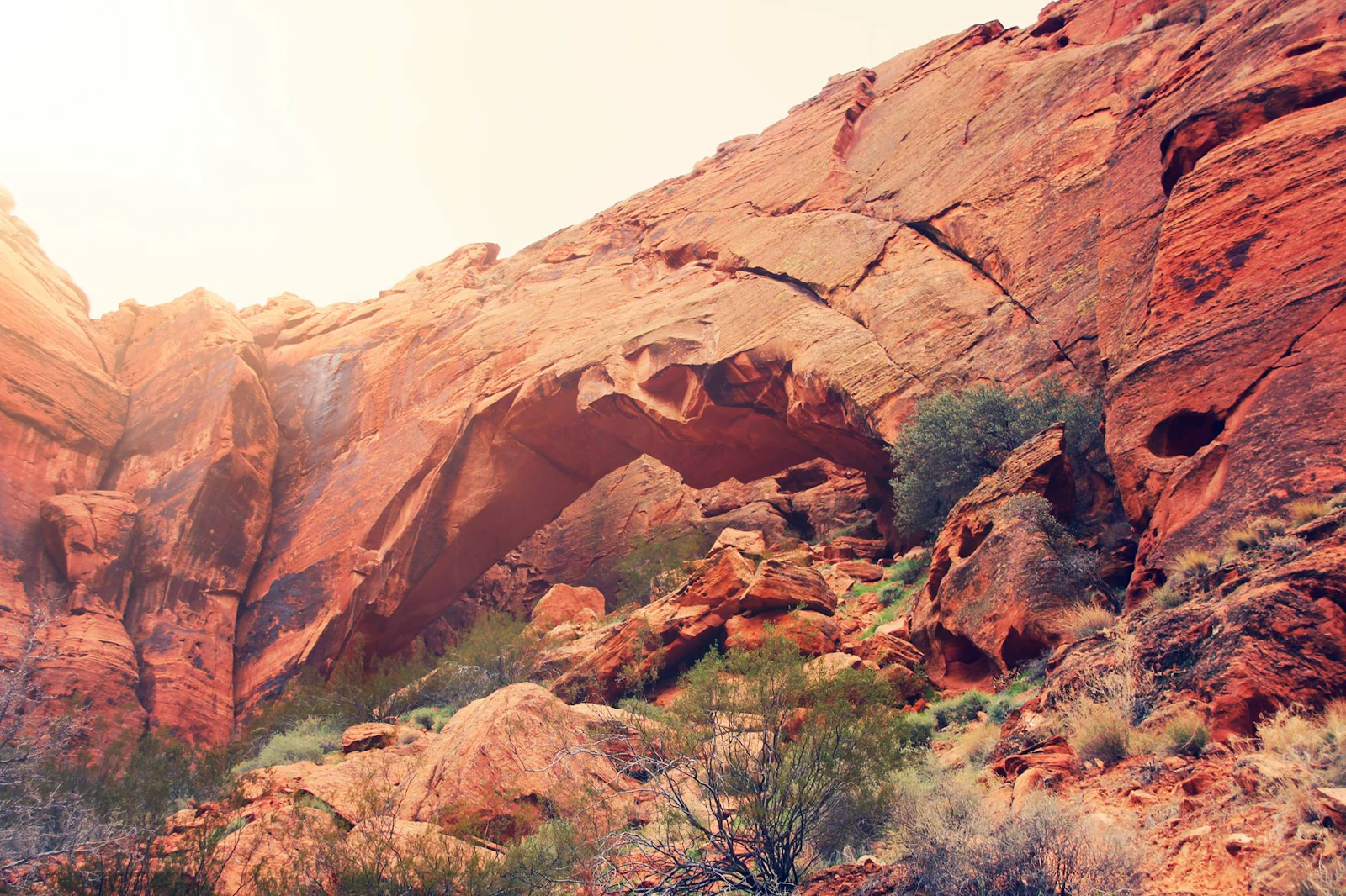 St. George, Utah photo 28 by Hanna May