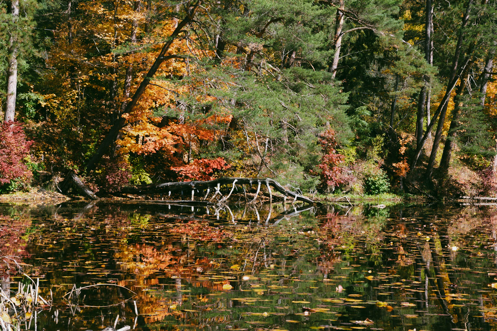 Burlington, Vermont photo 21 by Prateek Pisat
