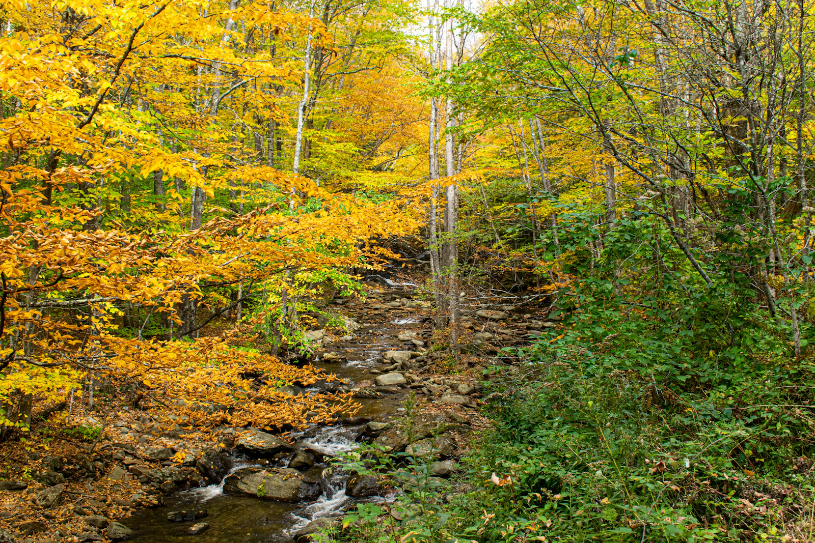 Burlington, Vermont photo 16 by Prateek Pisat