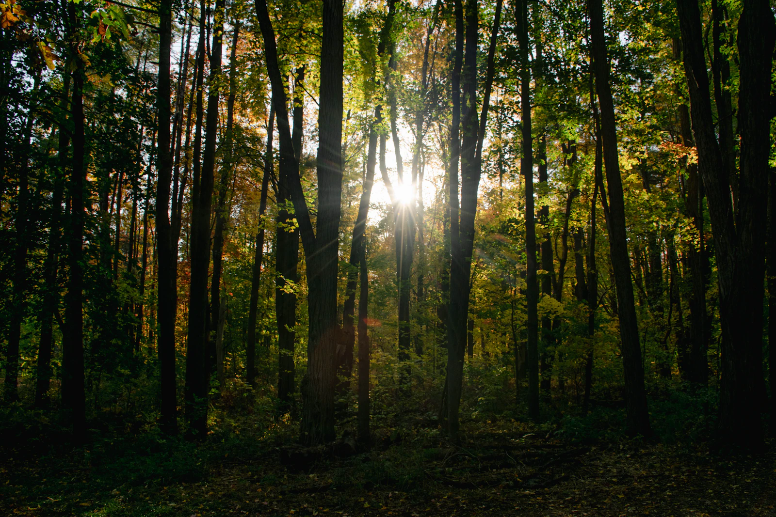 Burlington, Vermont photo 19 by Prateek Pisat