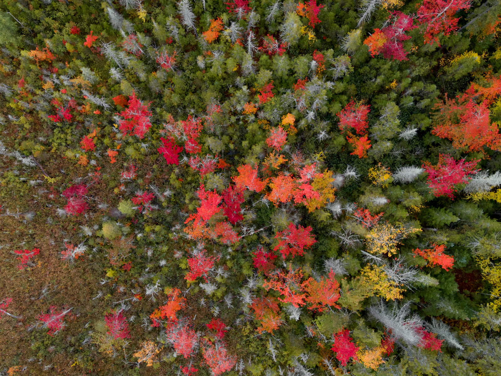 Killington, Vermont photo 23 by Tom Dils