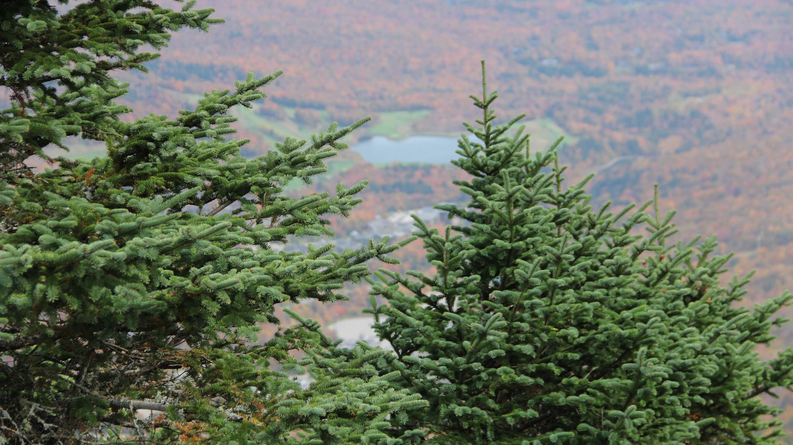 Stowe, Vermont photo 27 by Faz Islam