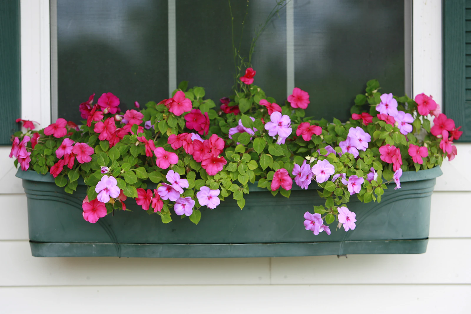Woodstock, Vermont photo 30 by David Trinks
