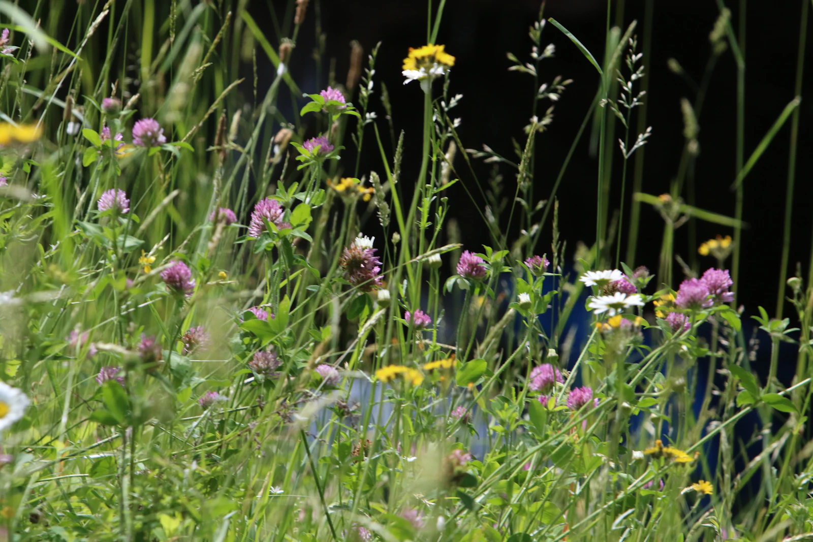 Woodstock, Vermont photo 27 by David Trinks