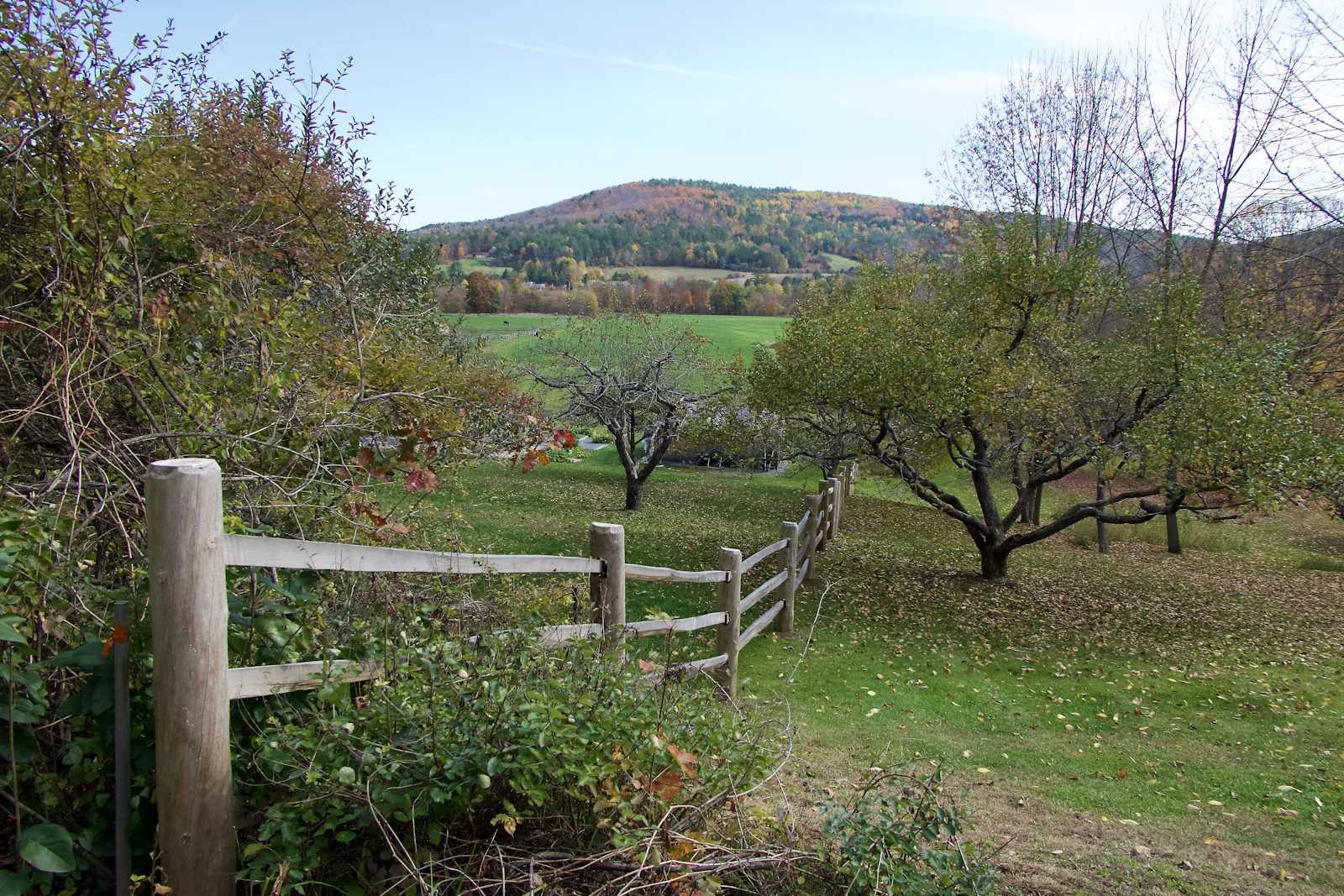 Woodstock, Vermont photo 4 by Joe Cox