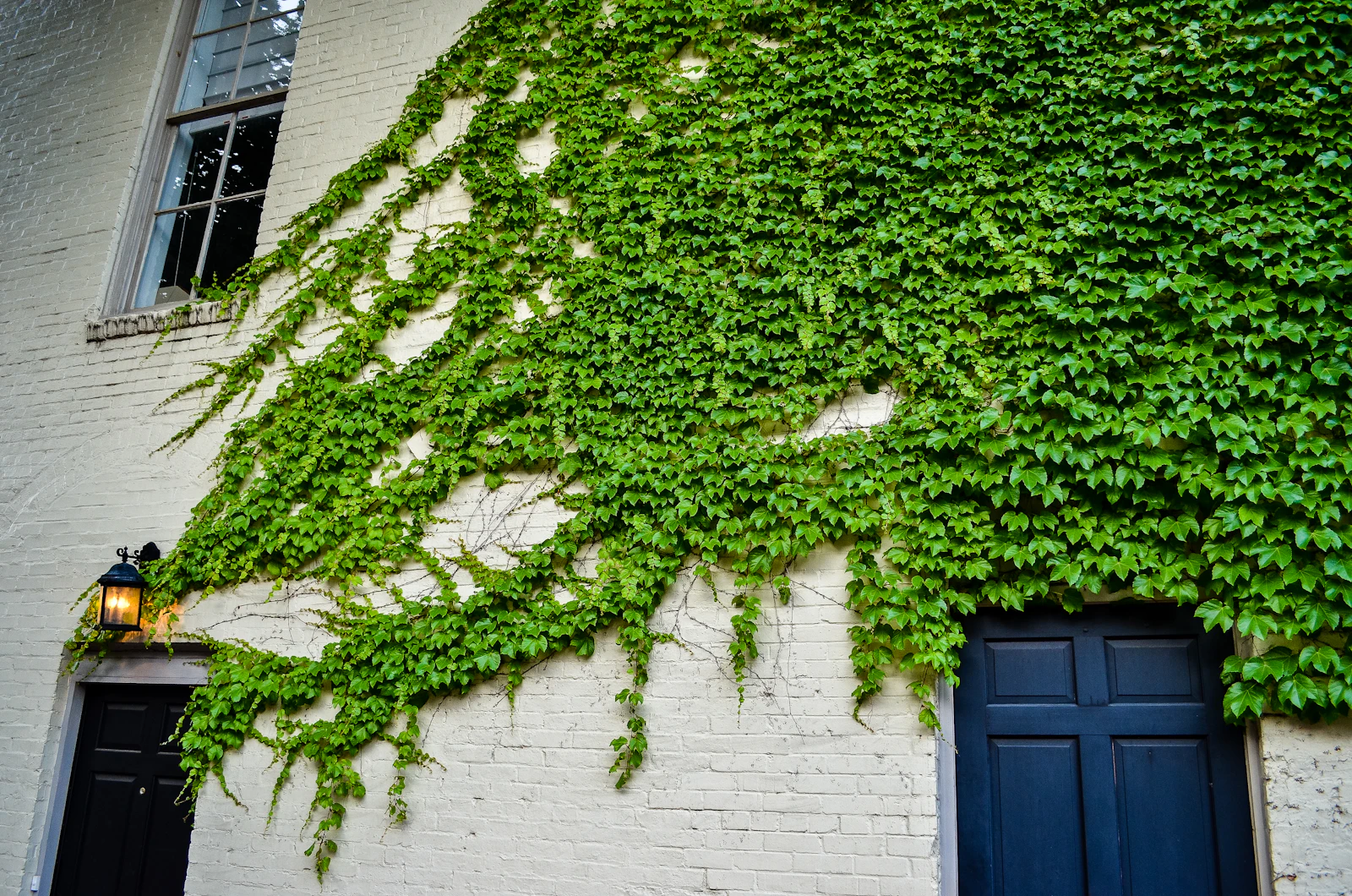 Alexandria, Virginia photo 27 by Mary Hammel