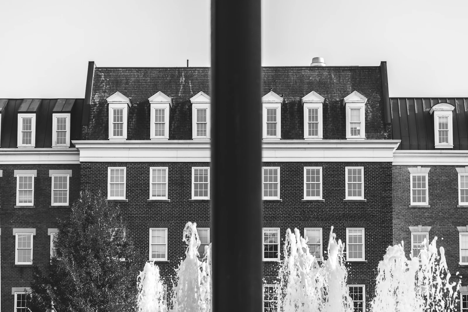 Alexandria, Virginia photo 6 by Thais Barros