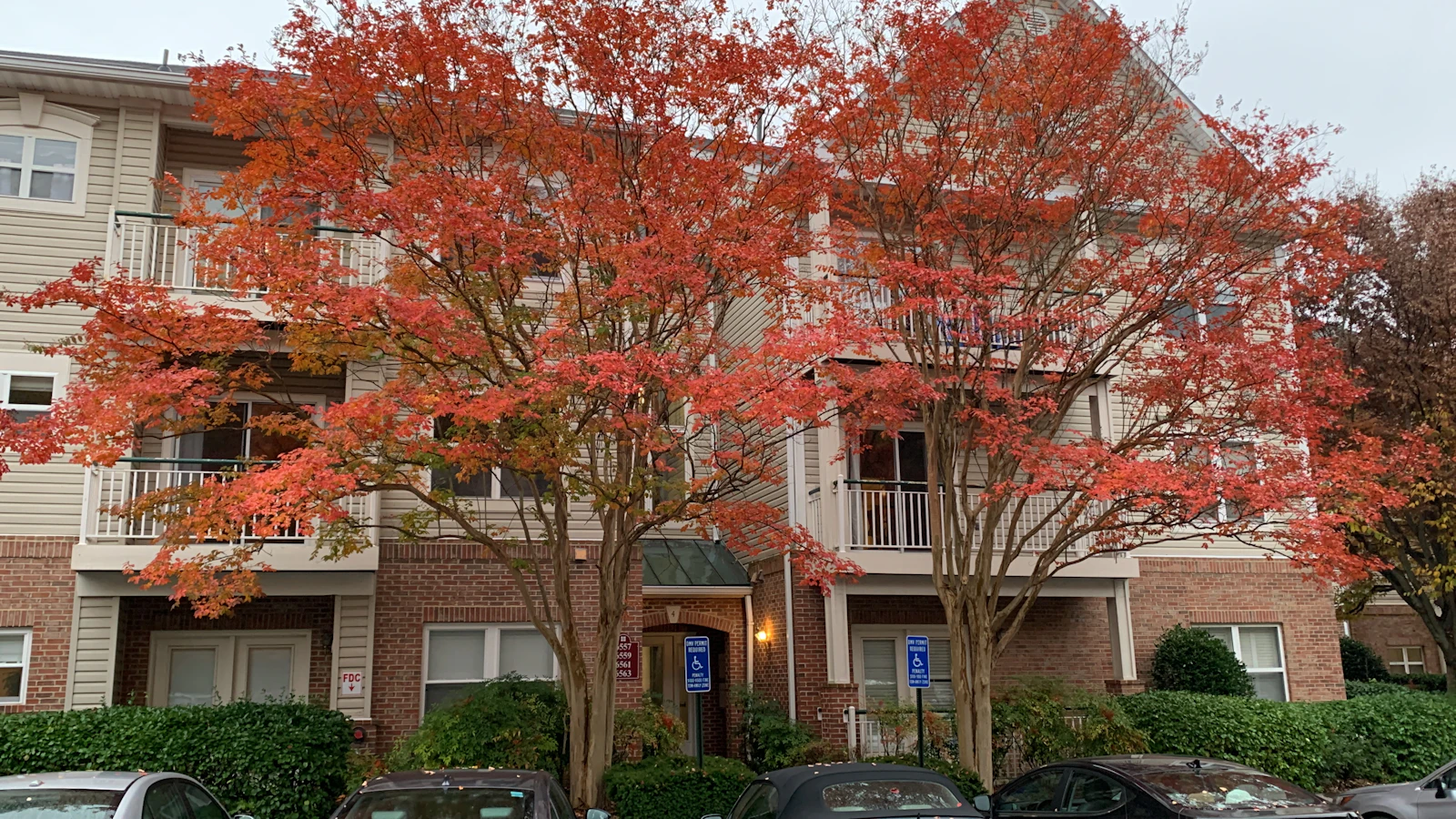 Alexandria, Virginia photo 28 by Hassan Altarazi
