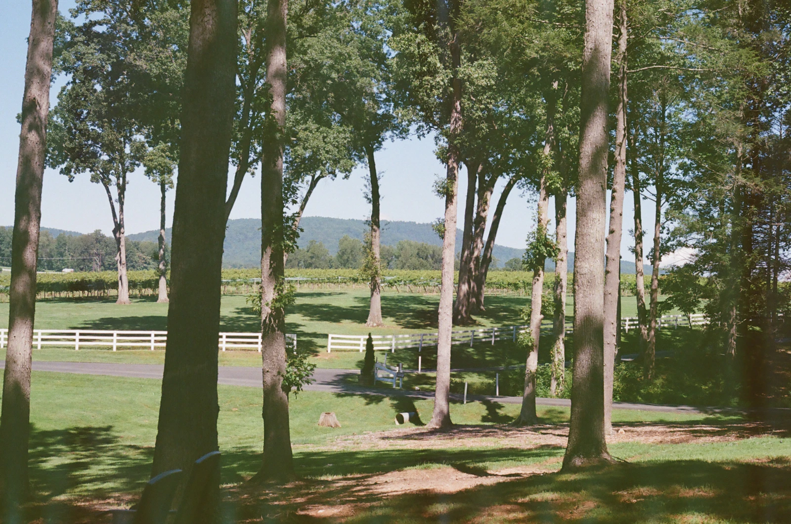 Charlottesville, Virginia photo 16 by Alex Korolkoff