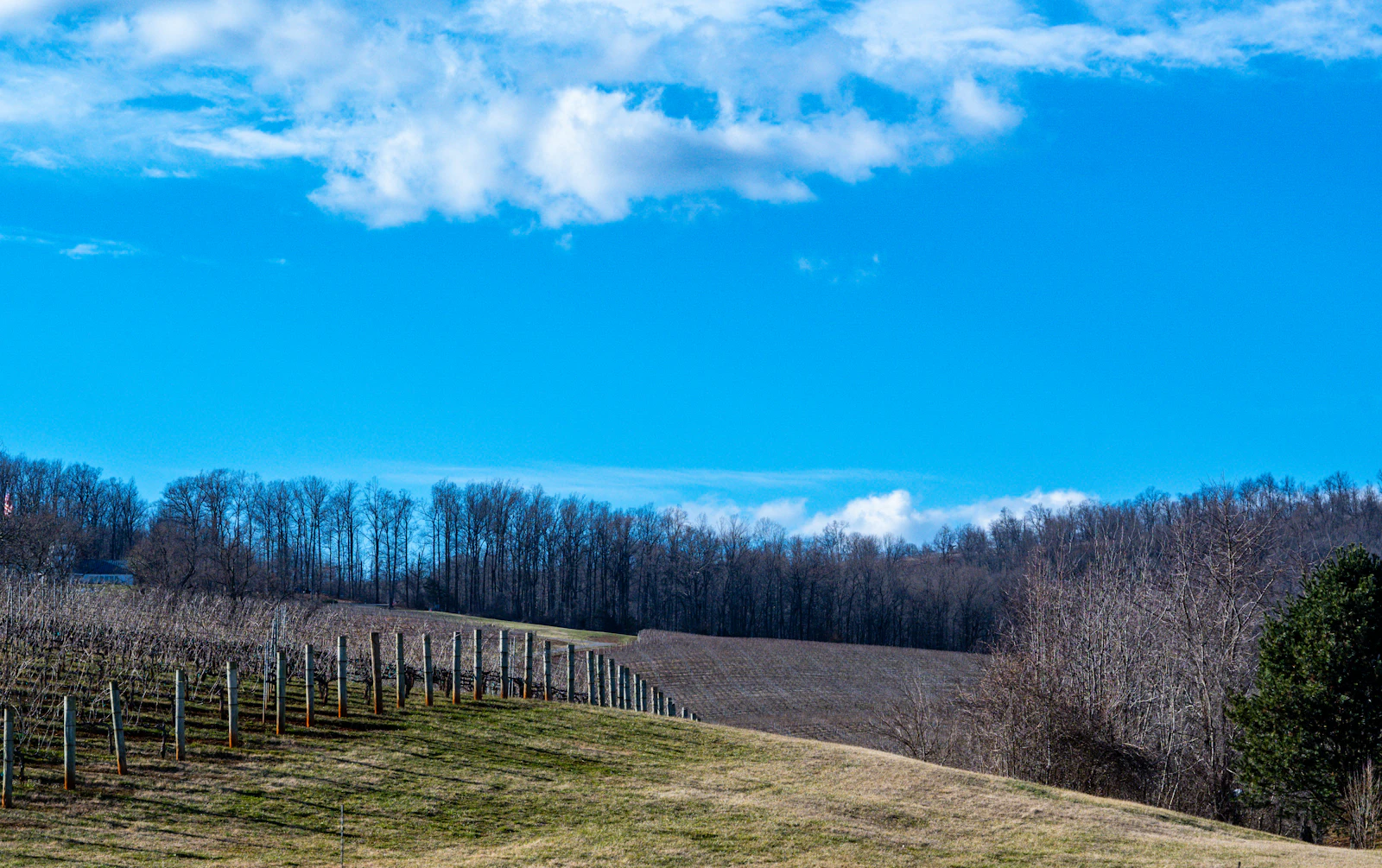 Charlottesville, Virginia photo 10 by Bryan Dickerson