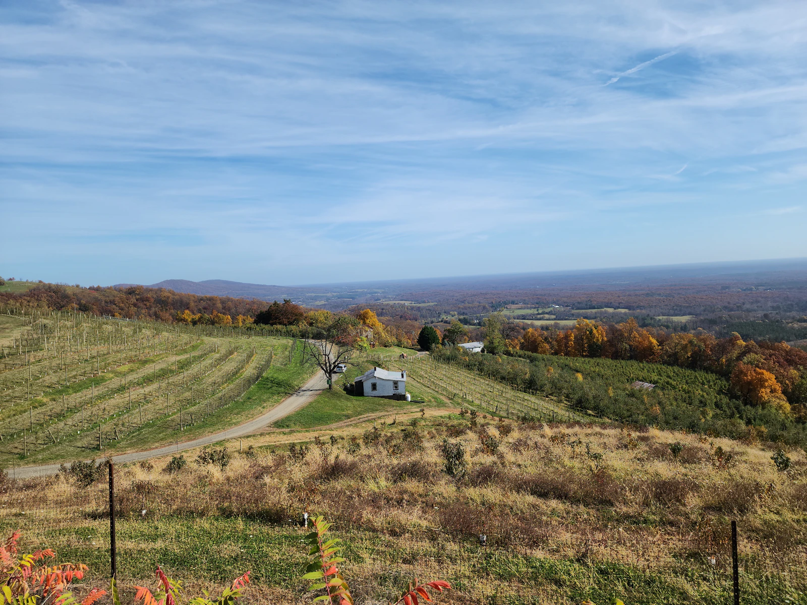 Charlottesville, Virginia photo 4 by Suyash Mahar